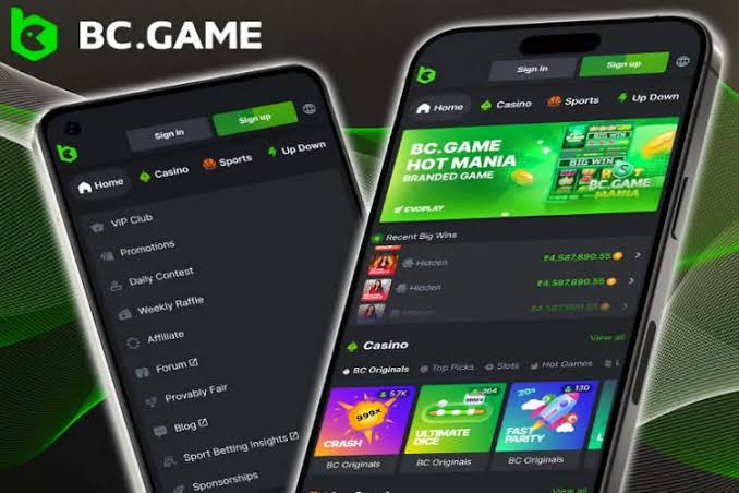 Exploring BC.Game Online Casino and Sportsbook A Gateway to an Immersive Gaming Experience